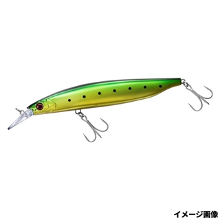 ミドキンイワシ