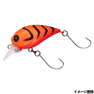 オレンジスジエビ