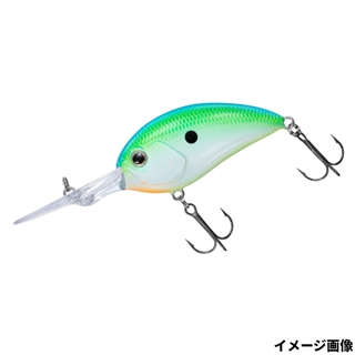 シトラスシャッド