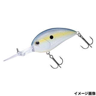 セクシーシャッド