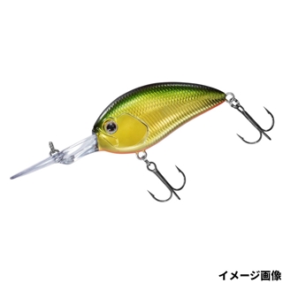 琵琶湖ゴールド