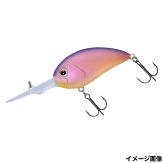 琵琶湖ガイドスペシャル