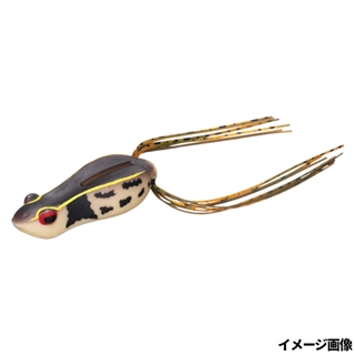 ダークアカガエル