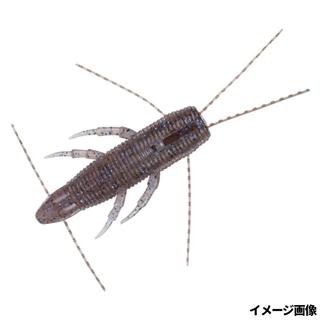 ゴーストシュリンプ