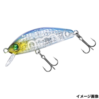 LIイワシ