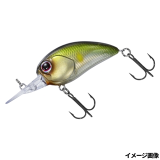 ゴーストアユ