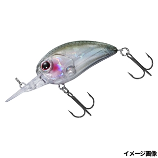 ホロワカサギ