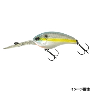 931 セクシーシャッド