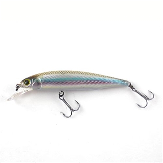 #202 高滝ワカサギ