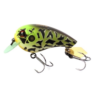 #350 ウシガエル