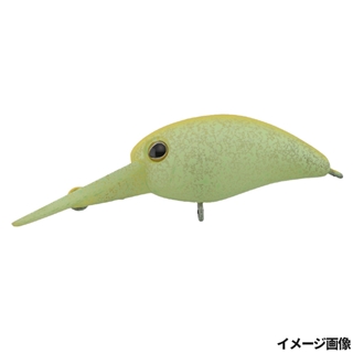 ショボクレワカクサ