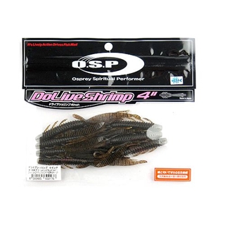 W004 グリーンパンプキンペッパー