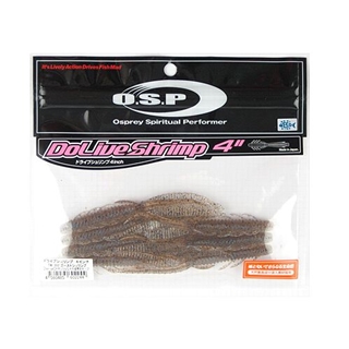 TW117 ゴーストシュリンプ