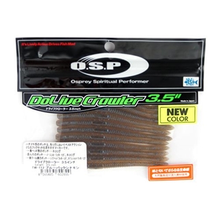 TW112 ブルーバックシナモン