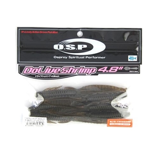 W004 グリーンパンプキンペッパー