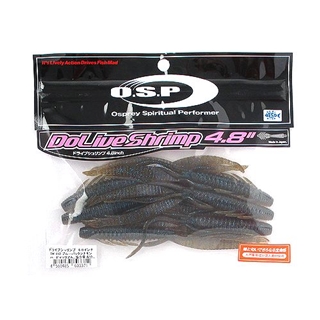 TW112 ブルーバックシナモン