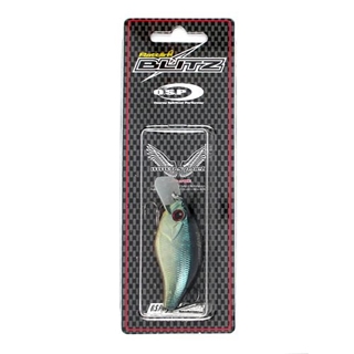 H-03(ｱﾒﾘｶｻﾝﾌｨｯｼｭ)