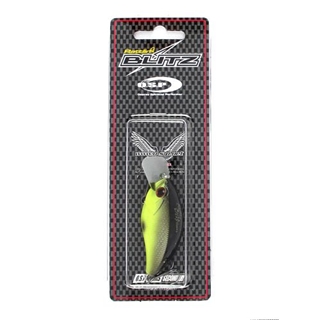 P-20(ﾁｬｰﾄﾌﾞﾗｯｸﾊﾞｯｸ)