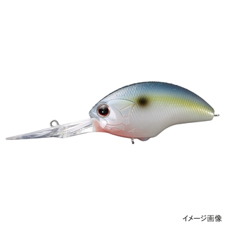 L21 セクシーシャッド