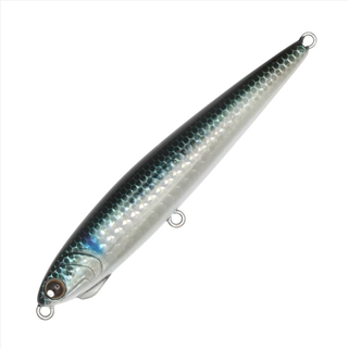 S024LN(ボラ/レンズホロ)