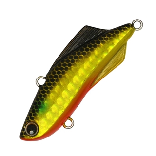 071(金ボラ/レンズ)