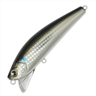 024:ボラ(レンズホロ)