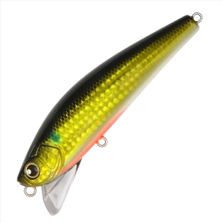 071:金ボラ(レンズ)