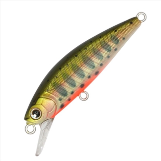 010 パールヤマメ