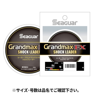 【現環境最新】オリーヴァex しめりけ　シークレットボックス搭載 大特価!! オリーヴァex ポケモンカードゲーム公式ホームページ