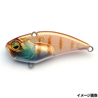 020.オニオンギル