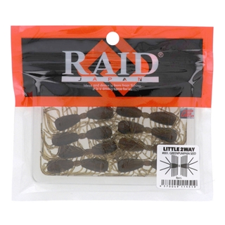 001 グリーンパンプキンシード