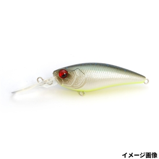 034.ネオンシャッド