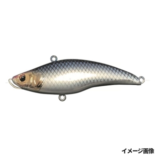 メタリックカタクチ