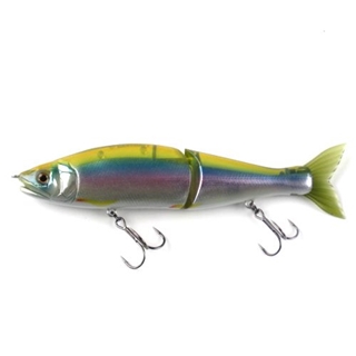 #17 ハーフミラー公魚