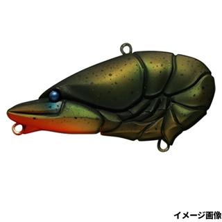 #27 ウチダザリガニ