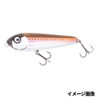 004ホログラムワカサギ