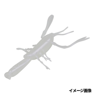 アルビノシュリンプ