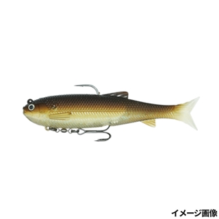 フェアリーシャッド