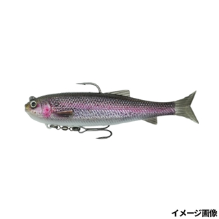 レインボートラウトPTD