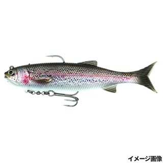 レインボートラウトPTD