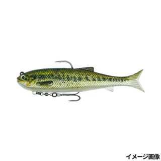 ラージマウスバスPTD