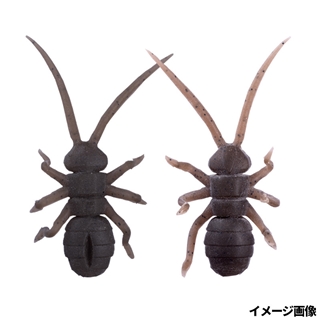 OM002 グリーンパンプキンペッパー