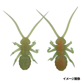 OM026 オリキンバッタ