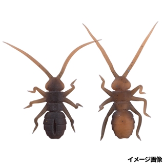 OM027 アカガエル