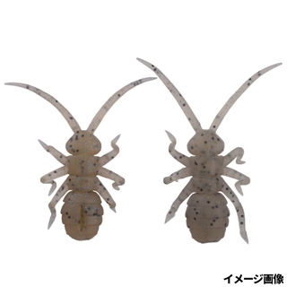 OM029 ライブリーシュリンプ