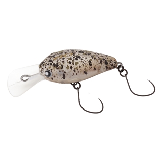 6 2015ノブカラー