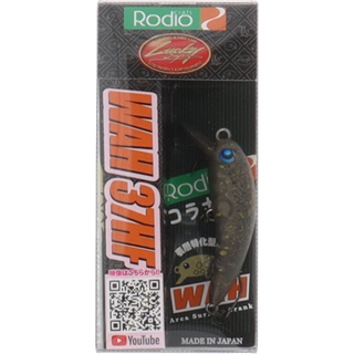 23 FOCUSオリーブ