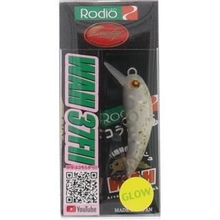 21 20井野