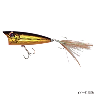 H04(黒金オレンジベリー)