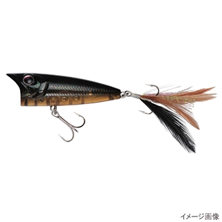 F31(インセクト)